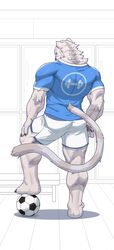  anthro ball biped black_claws blue_clothing blue_eyes blue_shirt blue_topwear bottomwear brown_nose claws clothing eyebrows felid feline fur hand_on_leg hand_on_thigh hi_res inside locker_room looking_at_viewer looking_back male mammal muscular muscular_anthro muscular_calves muscular_legs muscular_male shirt shorts soccer_ball solo standing tail topwear triceps tuft white_body white_bottomwear white_clothing white_eyes white_fur white_shorts white_tail yuezai_1 