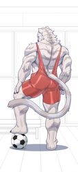  anthro back_muscles ball biped black_claws blue_eyes bottomwear brown_nose claws clothing eyebrows felid feline fur hand_on_leg hand_on_thigh hi_res inside locker_room looking_at_viewer looking_back male mammal muscular muscular_anthro muscular_calves muscular_legs muscular_male muscular_thighs red_clothing red_unitard shorts soccer_ball solo standing tail tight_clothing triceps tuft unitard white_body white_eyes white_fur white_tail wrestling_singlet yuezai_1 