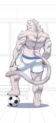  anthro back_muscles ball biped black_claws blue_eyes bottomwear brown_nose claws clothing eyebrows felid feline fur hand_on_leg hand_on_thigh hi_res inside locker_room looking_at_viewer looking_back male mammal muscular muscular_anthro muscular_calves muscular_legs muscular_male shorts soccer_ball solo standing tail triceps tuft white_body white_bottomwear white_clothing white_eyes white_fur white_shorts white_tail yuezai_1 