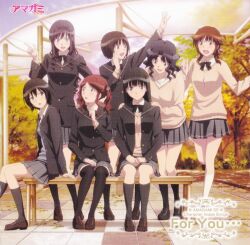  6+girls album_cover amagami ayatsuji_tsukasa bench black_footwear black_socks black_thighhighs brown_footwear copyright_name cover curtained_hair group_picture jpeg_artifacts kibito_high_school_uniform loafers logo morishima_haruka multiple_girls nakata_sae nanasaki_ai official_art park_bench sakurai_rihoko scan scan_artifacts school_uniform shoes skirt socks tachibana_miya tanamachi_kaoru thighhighs 