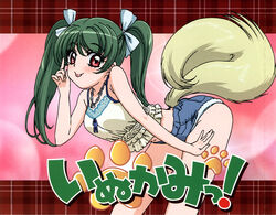  dog_tail female green_hair inukami! looking_at_viewer red_eyes shorts solo tail tongue tongue_out youko_(inukami) 