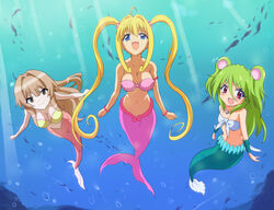  3girls blonde_hair blue_eyes brown_eyes brown_hair commentary_request crossover green_hair long_hair mermaid mermaid_melody_pichi_pichi_pitch monster_girl multiple_girls muromi-san namiuchigiwa_no_muromi-san nanami_lucia nanami_lucia_(mermaid) red_eyes seto_no_hanayome seto_sun species_connection trait_connection twintails two_side_up underwater utakatanagi 