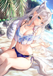  animal_ears beach bikini blue_bikini blue_eyes blurry blurry_background blush braid breasts cleavage closed_mouth cloud cloudy_sky collarbone commentary_request cowboy_shot day female fruit_print fujima_takuya grey_hair long_hair looking_at_viewer medium_breasts navel ocean original outdoors palm_tree sky smile solo swimsuit tail tree water 