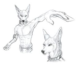  2017 abs amon_(rukis) anthro black_nose canid canine canis clothed clothing collar ear_piercing fur jackal male mammal metal_collar muscular muscular_anthro muscular_male piercing sellon solo topless 