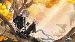  1boy autumn_leaves bad_id bad_pixiv_id black_jacket black_pants black_shirt branch closed_eyes closed_mouth floating grey_hair hand_in_pocket highres honkai_(series) honkai_impact_3rd jacket leaf long_hair male_focus outdoors pants shirt short_sleeves sitting slimetan solo source_request su_(honkai_impact) third-party_source tree 