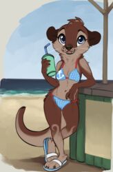  2020 anthro beach bikini blue_eyes brown_body brown_fur clothing day detailed_background digital_media_(artwork) female fur hi_res mammal mustelid open_mouth otter outside reign-2004 sand seaside shoreline sky solo swimwear teeth tongue water 