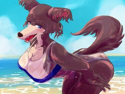  2022 anthro beach beastars big_breasts blush breasts brown_body brown_fur canid canine canis clothing female fur gris_swimsuit iro_gomasio juno_(beastars) mammal meme meme_clothing one-piece_swimsuit open_mouth outside seaside swimwear translucent translucent_clothing translucent_swimwear wolf 