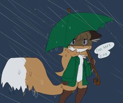  anthro averi_(fiddleafox) blue_background brown_body brown_eyes brown_fur canid canine catchphrase clothing dipstick_tail ears_down featureless_crotch female female_anthro fiddleafox fox fur gloves_(marking) green_clothing green_jacket green_topwear green_umbrella grey_background hair jacket jacket_only leg_markings mammal markings pivoted_ears raining red_fox simple_background soaking socks_(marking) solo speech_bubble tail tail_markings topwear true_fox umbrella wet white_body white_fur worried worried_look 