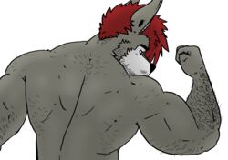  absurd_res anthro arm_hair back_hair back_muscles beard body_hair canid canine canis domestic_dog facial_hair hairy hi_res husky husky92 husky_(husky92) male mammal muscular muscular_anthro muscular_male nordic_sled_dog pinup pose solo spitz 