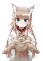  40hara :3 animal animal_collar animal_ear_fluff animal_ears blonde_hair cat_ears cat_girl collar commentary creature_and_personification feline female green_eyes highres holding holding_animal kinako_(40hara) long_hair looking_at_viewer off_shoulder orange_cat original red_collar shirt simple_background solo t-shirt upper_body white_background 