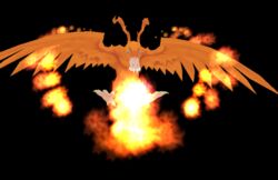 avian bandai_namco beak bird birdramon black_background blue_eyes claws digimon digimon_(species) feathered_wings feathers female fire flaming_feathers mythological_avian mythological_bird mythological_creature mythological_firebird mythology orange_body orange_feathers simple_background solo teeth walker93 wings