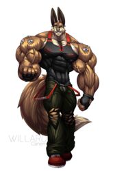 2014 abs absurd_res anthro athletic bandage biceps big_muscles biped bottomwear bulge canid canine canis clothed clothing ear_piercing footwear front_view fully_clothed fur gloves handwear hi_res huge_muscles hyper hyper_muscles lagomorph leporid looking_at_viewer male mammal metal muscular muscular_anthro muscular_male pants pecs piercing rabbit shirt shoes smile solo topwear vein willard_(wolfiecanem) wolf wolfiecanem