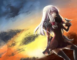  agria agria_(tales) bird cloud female grey_hair red_eyes solo star sunset tales_of_(series) tales_of_xillia thighhighs 