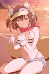  absurdres animal_ear_fluff beach beru3 bikini blue_archive blurry blurry_background breasts brown_hair commentary_request female flower fox_girl fox_tail hair_flower hair_ornament halo highres holding_own_wrist izuna_(blue_archive) izuna_(swimsuit)_(blue_archive) looking_at_viewer medium_breasts medium_hair navel pink_halo red_scarf scarf shorts sitting solo striped_bikini striped_clothes sunflower sunflower_hair_ornament sunset swimsuit tail visor_cap wristband yellow_eyes yokozuwari 