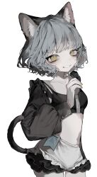  absurdres animal_ear_fluff animal_ears bad_id bad_twitter_id black_bra black_sleeves bra breasts cat_ears cat_girl cat_tail collarbone cowboy_shot female frilled_shorts frilled_sleeves frills grey_hair hand_up highres kamitsubaki_studio long_sleeves looking_at_viewer manuka_x_x midriff muted_color navel nina_(valis) open_mouth puffy_sleeves short_hair shorts simple_background sinsekai_studio small_breasts smile solo tail teeth three_quarter_view underwear valis_(sinsekai) virtual_youtuber wavy_hair white_background white_shorts yellow_eyes 