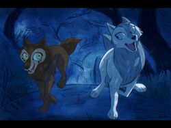  2020 blue_eyes canid canine canis cartoon_saloon duo female feral forest freckles fur green_eyes grey_body grey_fur hi_res mammal mebh_og_mactire plant red_body red_fur robyn_goodfellowe runiiko running screencap_redraw tree wolf wolfwalkers 