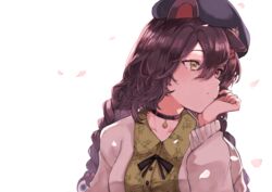  animal_ears beret black_hat braid breasts brown_eyes brown_hair cardigan collarbone dog_ears dog_girl dog_hair_ornament female flower green_shirt grey_cardigan hair_flower hair_ornament hat heterochromia highres inui_toko long_hair looking_to_the_side medium_breasts nijisanji official_alternate_costume official_alternate_hairstyle petals red_eyes shirt solo takena-c twin_braids virtual_youtuber white_background yellow_eyes 