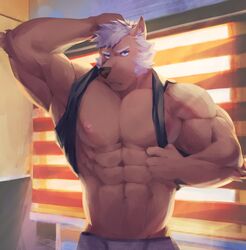  2018 abs anthro biceps bozi canid canine clothed clothing digital_media_(artwork) fur hair hi_res male mammal muscular muscular_anthro muscular_male nipples pecs solo topless 