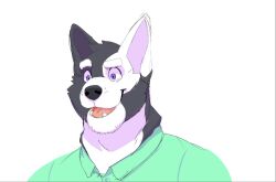  2022 anthro biped black_body black_fur black_nose canid canine canis clothed clothing daire301 digital_media_(artwork) domestic_dog eyebrows fur green_dress_shirt hi_res male mammal multicolored_body multicolored_fur open_mouth open_smile purple_eyes simple_background smile solo teeth two_tone_body two_tone_fur white_background white_body white_eyebrows white_fur 