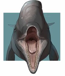  ambiguous_gender cetacean feral front_view glistening glistening_tongue imperatorcaesar mammal marine mouth_shot narrowed_eyes open_mouth physeteroid pink_tongue signature simple_background solo sperm_whale tan_teeth teeth tongue toothed_whale whale 