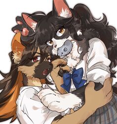  2girls alternate_species animal_ear_fluff animal_ears animal_hands black_fur black_hair blue_bow blue_bowtie body_fur borrowed_character bow bowtie brown_eyes brown_hair cat_ears cat_girl collared_shirt colored_inner_hair fangs furry furry_female german_shepherd grey_skirt hands_up highres long_hair looking_at_viewer mouth_hold multicolored_hair multiple_girls oji_(norahasu) open_mouth orange_hair original plaid plaid_skirt pleated_skirt ponytail rata_(norahasu) school_uniform shirt simple_background skirt slit_pupils stuffed_animal stuffed_mouse stuffed_toy upper_body whiskers white_background white_fur white_shirt 