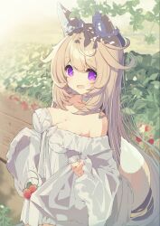  :d animal_ear_fluff animal_ears breasts cleavage commentary_request day dress female food fox_ears fox_girl fox_tail frilled_dress frills fruit hair_between_eyes highres light_brown_hair long_hair long_sleeves looking_at_viewer medium_breasts off-shoulder_dress off_shoulder original outdoors p19 purple_eyes smile solo strawberry tail very_long_hair white_dress wide_sleeves 