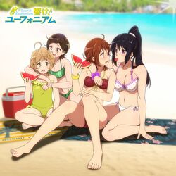  4girls beach bikini blush crossed_legs female female_only hibike!_euphonium hug katou_hazuki kawashima_sapphire kousaka_reina legs_held_open on_knees oumae_kumiko purple_eyes purple_hair sharing_food sitting sweat swimsuit swimwear tagme teenager watermelon yuri 