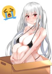  bare_arms bare_shoulders bikini black_bikini box breasts cardboard_box cleavage collarbone crying_emoji emoji female frown halterneck highres hugging_own_legs in_box in_container knees_up large_breasts long_hair looking_at_viewer nefuyama_nefuko nephthys2356 original red_eyes simple_background sitting solo string_bikini swimsuit twintails very_long_hair wavy_mouth white_background white_hair 