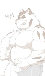  2024 3:5 anthro barazoku belly blush bottomwear clothing hermann_(knights_college) hi_res humanoid_hands jinjin666 kemono knights_college male mammal moobs musclegut muscular nipples shorts simple_background slightly_chubby solo suid suina sus_(pig) text white_background wild_boar 