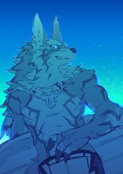  blue_background blue_sky board canid canine canis clothed clothing countershading grin hi_res jackal lifewonders male mammal night sakuhuu seth_(tas) simple_background sky smile smug_face smug_grin solo star starry_sky surfboard tokyo_afterschool_summoners topless topless_male 