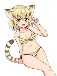  :d animal_ear_fluff animal_ears animal_print bare_arms bare_legs bare_shoulders bikini blonde_hair breasts brown_hair cat_ears cat_girl cat_tail collarbone commentary extra_ears female green_eyes hair_between_eyes highres kemono_friends looking_at_viewer medium_breasts medium_hair multicolored_hair navel open_mouth print_bikini sand_cat_(kemono_friends) shiraha_maru side-tie_bikini_bottom simple_background smile solo swimsuit tail tiger_print two-tone_hair white_background 