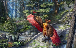  3_toes ambiguous_gender anthro avian beak bird breasts bridge cardinal_(bird) claws creek detailed detailed_background digitigrade duo feathered_wings feathers featureless_breasts feet female feral flying forest larger_anthro moss non-mammal_breasts nude oscine outside passerine plant red-izak redwood_tree rock scutes shrub size_difference smaller_feral solo_focus standing stone_bridge text toe_claws toes toned_female tree tree_stump url water watermark winged_arms wings 