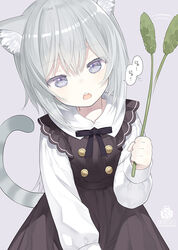  afterimage animal_ear_fluff animal_ears black_dress capriccio cat_ears cat_girl cat_tail cat_teaser collared_shirt commentary_request dress female grey_background grey_eyes grey_hair hair_between_eyes head_tilt holding long_sleeves looking_at_viewer open_mouth original plant puffy_long_sleeves puffy_sleeves shirt simple_background sleeveless sleeveless_dress solo tail teeth translated upper_teeth_only white_shirt 