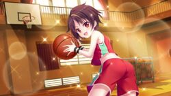  armpit_crease ass ball bandou_mikuru bare_shoulders basketball basketball_(object) basketball_hoop basketball_uniform blonde_hair brown_hair cart curtains door dot_nose dutch_angle female film_grain from_behind game_cg gym holding holding_ball indoors izumi_tsubasu lens_flare looking_at_viewer looking_back midriff multicolored_hair non-web_source official_art open_mouth playing_sports railing re:stage! red_eyes red_shorts red_tank_top short_hair shorts smile solo sparkle sportswear streaked_hair tank_top two-tone_hair window wooden_floor wristband 