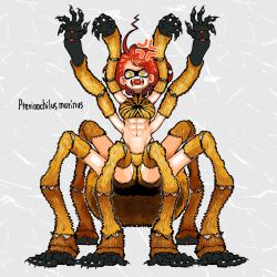  abs arthropod_girl arthropod_limbs commentary_request fangs female full_body grey_background highres looking_at_viewer monster_girl nicoq_(koikoihaihai) original red_hair short_hair solo spider_girl toned_female yellow_eyes 