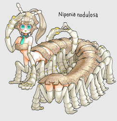  absurdres antennae aqua_eyes arthropod_girl arthropod_limbs blonde_hair commentary_request detached_collar female full_body grey_background highres long_hair looking_at_viewer millipede_girl monster_girl nicoq_(koikoihaihai) original simple_background solo 