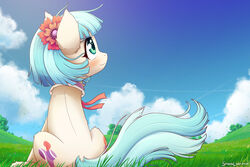  2020 accessory blue_eyes blue_hair blush cloud coco_pommel_(mlp) cutie_mark digital_media_(artwork) earth_pony equid equine female feral flower flower_in_hair friendship_is_magic grass hair hair_accessory hasbro hi_res horse mammal multicolored_hair my_little_pony plant pony sky smile solo symbianl two_tone_hair wind 