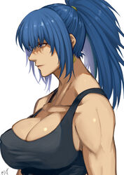  bare_arms bare_shoulders black_tank_top blue_eyes blue_hair breasts cleavage female jewelry large_breasts leona_heidern long_hair military muscular muscular_female ponytail snk soldier solo tank_top the_king_of_fighters white_background yasunososaku 