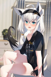  ahoge animal_ear_fluff animal_ears aqua_eyes black_hairband black_shirt blush commentary_request earrings female fox_ears fox_girl fox_tail hair_between_eyes hairband highres hololive indoors jewelry long_hair looking_at_viewer lower_teeth_only nejima_kitsune_(shirakami_fubuki) oerba_yun_fang off_shoulder official_alternate_costume open_mouth ponytail shadow shirai_yu shirakami_fubuki shirakami_fubuki_(loungewear) shirt short_sleeves single_earring sitting skin_fang solo tail teeth thighs virtual_youtuber white_hair 