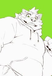  absurd_res anthro canid canine canis clothing domestic_dog eyebrows green_background green_eyes heylaw21 hi_res hoodie lifewonders live_a_hero low-angle_view male mammal mokdai simple_background smile solo thick_eyebrows topwear 