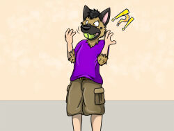  4_fingers anthro ball black_nose bottomwear brown_body brown_eyes brown_fur canid canine canis cargo_shorts cheek_tuft clothing domestic_dog exclamation_point eye_scar facial_scar facial_tuft fingers fluffy fox0808 fur fur_growth german_shepherd growth head_tuft herding_dog human human_to_anthro lookinh_at_hands male mammal mid_transformation pastoral_dog question_mark scar shaded shirt shorts simple_background simple_shading solo species_transformation standing surprised surprised_expression t-shirt tan_body tan_fur teeth tennis_ball tennis_ball_in_mouth theotherblitzgshep tongue topwear transformation tuft 