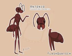  4_arms ant antennae_(anatomy) anthro antonio_(flashquatsch) arthropod arthropod_abdomen flashquatsch hymenopteran insects male mandibles model_sheet multi_arm multi_limb scientific_name simple_background solo 