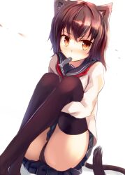  animal_ears black_panties black_thighhighs blush brown_hair commentary_request female fish mouth_hold orange_eyes original panties pantyshot sakura_ani school_uniform short_hair solo tail thighhighs underwear white_background 