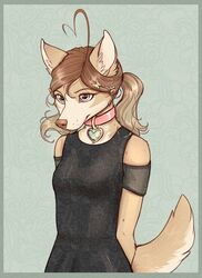  2022 anthro blue_eyes breasts brown_hair canid canine canis clothed clothed_anthro clothed_female clothing collar cotton_(yshanii) digital_media_(artwork) dingo eyebrows eyelashes female female_anthro fur green_background hair hi_res mammal simple_background solo tan_body tan_fur yshanii 