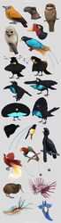  2_heads 2_plumes 3_talons 3_toes 4_talons 4_toes 6_head_plumes 6_plumes absurd_res ambiguous_gender anisodactyl aquatic_gastropod avian avian_caruncle avian_feet bald beak big_pupils biped bird black_beak black_body black_crest black_eyes black_face black_feathers black_feet black_markings black_scutes black_tail black_tail_feathers black_talons black_wattle black_wings blue_beak blue_bird-of-paradise blue_body blue_eyes blue_face blue_feathers blue_feet blue_plume blue_scutes blue_wings branch bronze_parotia brown_beak brown_body brown_face brown_feathers brown_tail brown_tail_feathers bucerotiform capuchinbird casque_(anatomy) chiakiro cotingid countershade_feathers countershade_torso countershading courtship crescent-caped_lophorina dark_beak dark_body dark_eyes dark_face dark_feathers dark_feet dark_pupils dark_tail dark_tail_feathers dark_talons dark_wattle dark_wings dewlap_(anatomy) dipstick_beak dipstick_tail eye_markings feathered_crest feathered_wings feathers feet feral fish flank_plume folded_wings gastropod great_potoo greater_lophorina green_eyes grey_beak grey_body grey_face grey_feathers grey_feet grey_scutes grey_tail grey_tail_feathers grey_wings head_crest head_plume headshot_portrait helmeted_hornbill hi_res hooked_beak hornbill king_of_saxony_bird-of-paradise kiwi_(bird) light_beak light_body light_feathers lionfish long-wattled_umbrellabird long_plume long_tail long_tail_feathers looking_up lophorina male marine markings mollusk monotone_beak monotone_body monotone_crest monotone_face monotone_feathers monotone_feet monotone_tail monotone_wings mouth_closed multi_head multicolored_beak multicolored_body multicolored_face multicolored_feathers multicolored_plume multicolored_tail multicolored_wings multiple_images narrow_beak new_world_suboscine no_sclera on_branch open_beak open_mouth orange_body orange_face orange_feathers orange_plume orange_tail orange_tail_feathers orange_wings oscine paradisaea_(genus) paradisaeid parotia passerine perching plume plumes pointy_beak portrait potoo pupils ratite red_body red_eyes red_face red_feathers red_tail red_tail_feathers red_wings scorpaeniform scutes sea_angel sea_slug short_beak slug solo species_request spots spotted_body spotted_feathers spotted_markings spread_wings standing suboscine tail tail_feathers tail_markings tail_wire talons tan_beak tan_eyes tan_feet tan_scutes thick_beak toe_talons toes turquoise_body turquoise_feathers turquoise_wings two_tone_beak two_tone_body two_tone_face two_tone_feathers two_tone_wings umbrellabird wattle western_parotia white_beak white_body white_countershading white_eyes white_face white_feathers white_markings white_plume white_spots white_wings wide_tail wings yellow_beak yellow_eyes yellow_face yellow_plume 