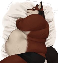  anthro ass back_rolls bed bed_covers bed_sheet bedding belly belly_tuft big_belly black_body black_clothing black_fur black_underwear briefs briefs_only canid canine canis closed_eyes clothed clothing double_chin ear_tuft echo_(game) echo_(series) echo_project facial_tuft fat_rolls fattybread fur furniture head_tuft hi_res indentation leo_alvarez love_handles male mammal multicolored_body multicolored_fur navel obese obese_anthro obese_male on_bed on_pillow overweight overweight_anthro overweight_male pillow red_body red_fur red_wolf side_view sleeping solo stretch_marks tail tail_tuft thick_arms thick_thighs topless tuft underwear underwear_only white_bed_sheet white_bedding white_body white_fur wolf wrinkled_sheets 