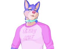  2022 anthro blue_collar blue_eyes brown_body brown_eyebrows brown_fur canid canine canis clothed clothing collar collar_tag daire301 daire_(dog) digital_media_(artwork) domestic_dog english_text eyebrows fur hi_res male mammal multicolored_body multicolored_fur open_mouth open_smile pink_clothing pink_shirt pink_topwear purple_body purple_fur shirt simple_background smile solo text thick_eyebrows topwear two_tone_body two_tone_fur white_background 