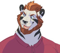  2022 anthro beard biped black_body black_ears black_fur brown_beard brown_facial_hair brown_hair clothed clothing daire301 digital_media_(artwork) ear_piercing ear_ring eyebrow_piercing facial_hair facial_markings facial_piercing felid fur hair head_markings headshot_portrait hi_res male mammal markings multicolored_body multicolored_fur nose_piercing nose_ring open_mouth open_smile pantherine piercing portrait red_dress_shirt ring_piercing simple_background smile solo striped_body striped_face striped_fur striped_neck stripes teeth tiger two_tone_body two_tone_fur vex_(donryu) white_background white_body white_fur 