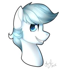  alpha_channel double_diamond_(mlp) equid equine feral freeze-pop88 friendship_is_magic hair hasbro headshot_portrait hi_res horse male mammal my_little_pony pony portrait simple_background solo transparent_background young young_feral young_male 