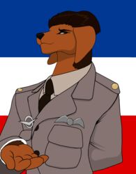  anthro brown_body brown_eyes brown_fur brown_hair canid canine clothing droll3 fur hair hi_res male mammal peter_(disambiguation) solo uniform 